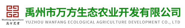红薯粉条